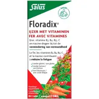 Floradix 4x Ijzer 84 Tabletten