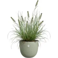 Elho Bloempot Sereh Groen D 25 H 21 Cm