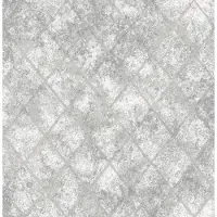 Dutch Wallcoverings Reclaimed Mercury Glass zilver behang (vliesbehang, zilver)