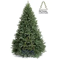 Royal christmas Kunstkerstboom Washington Deluxe - Hoogte 210 cm - 1668 Takken - zonder verlichting