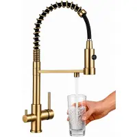 Fd 3-Weg Keukenkraan Goud met Uittrekbare Spuit & Waterfilter Aansluiting