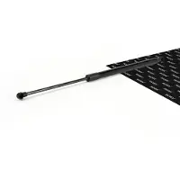 RIDEX 219G1873 Gasveer achterklep