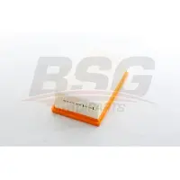 BSG 70-135-042 Luchtfilter
