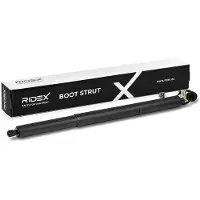 RIDEX 219G1681 Gasveer achterklep