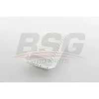 BSG 85-135-025 Luchtfilter