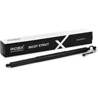 RIDEX 219G1741 Gasveer achterklep