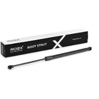 RIDEX 219G1434 Gasveer achterklep