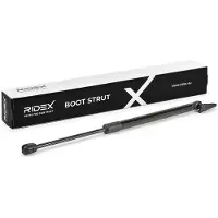 RIDEX 219G1340 Gasveer achterklep