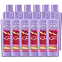 Unilever 12 x Andrélon Levendige Kleur Shampoo - voor gekleurd haar - 250 ml - Voordeelverpakking - 12 stuks