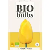 JUB Tulipa Novi Sun , 7 bloembollen