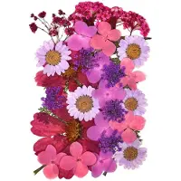 Famanu – Gemengde gedroogde bloemen voor bloemendecoraties en telefoonhoesjes, diverse soorten