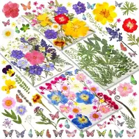 Famanu – Geperste bloemen, set van 120 kleurrijke gedroogde bloemen voor knutselen en decoratie