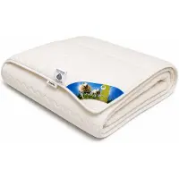 Princessdekbedden Luxe Wollen Kinderdekbed Enkel (All Year) - 100x135 cm - 100% Zuivere Texelse Wol - Ademend