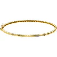 Lucardi - Dames 9 karaat bangle 2mm - Armband - 9 Karaat - Goudkleurig