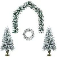 vidaXL - Mini-kerstbomenset - 120 - cm - PVC - Groen - en - Wit