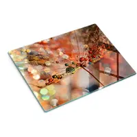 Wallfluent Glazen Snijplanken - Natte Paardenbloem Snijplanken Glas - 30 cm x 40 cm - Oranje Snijplanken van Glas - Glazen Hakplank - Design Glazen Snijplank Keuken - Glazen Snijplank met Antislip