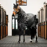 Horseware Easy-Layer Stable Plus Hvy 400g Zwart/Zwart & Zilver 84_7'0"