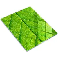 Wallfluent Glazen Snijplanken - Bladlijnen Natuur Snijplanken Glas - 30 cm x 40 cm - Groente Snijplanken van Glas - Snijplank van Glas - Decoratieve Glazen Snijplank - Antislip Glazen Serveerplank