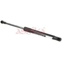 ASHIKA ZSA01068 Gasveer achterklep