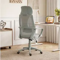 OKWISH Bureaustoel 64 Cm - Hoogteverstelbaar Met Kantelfunctie En Hoofdsteun - Voor Thuiswerkplek En Kantoor - Netstof En Polyester - Grijs