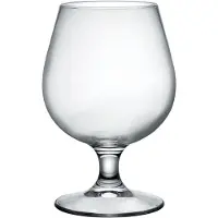 Bormioli Rocco | Set van 6 cognacglazen Riserva glas transparant x15 cm borrelglazen | NADUVI