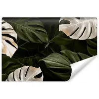 Karo-art Fotobehang Witte En Groene Monsterabladeren - Vliesbehang - 208 x 146 cm