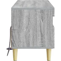 vidaXL LED-TV-kast, Sonoma-grijs, houtvezel