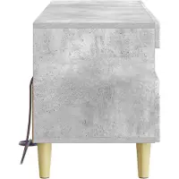 vidaXL LED-TV-kast, betonkleur, houtvezel