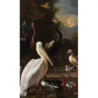 Wandkraft Schilderij - pelikaan en ander gevogele - Collectie dutch masters - Dibond wit - 70x118cm