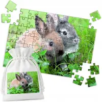 WORLD CASE Traditionele Puzzel: Twee Konijnen op Gras - 70 Stukjes