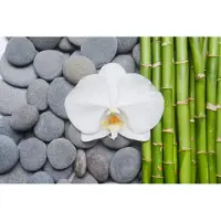 Karo-art Fotobehang Bamboe Met Stenen En Orchideeën - Vliesbehang - 405 x 270 cm