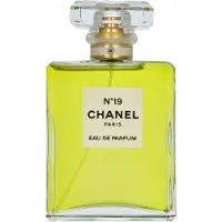 Chanel No 19 Edp Spray 100ml.