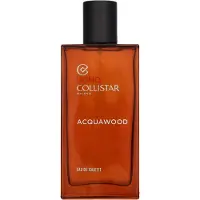 Collistar Toning Acqua Wood Eau de Toilette 100 ml