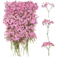 Famanu – Geperste gedroogde sluierkruid bloemen set met 100 stuks voor DIY en kaarten
