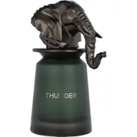 French Avenue Thunder Eau de Parfum 100 ml