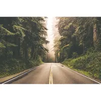 Karo-art Fotobehang Weg In Een Amerikaans Bos - Vliesbehang - 312 x 219 cm