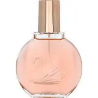 Gloria Vanderbilt Women Miss Eau de Parfum - 100 ml