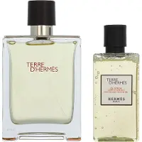 Hermès Paris Hermes Terre d'Hermes Geschenkset: Eau de Toilette 100 ml / Douchegel 80 ml, totaal 180 ml