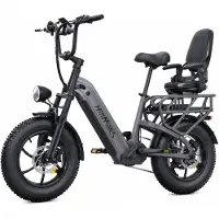 HillMiles Mile Link 1 Elektrische fiets 250W 25km/u - 48V 18Ah accu-hydraulische schijfremmen - Stadsfiets - Transportfiets - met kinderzitje, grijs