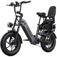 HillMiles MileLink 1 Elektrische Transportfiets 65Nm - dubbele 48V 18+22,5Ah lithium accu - bereik tot 250 km - hydraulische schijfremmen - stad & off-road - met kinderzitje, Grijs