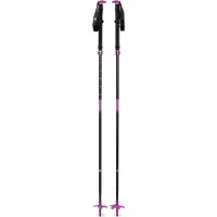 Black Diamond Expedition Stokken