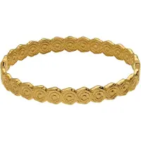 Lucardi - Dames Stainless steel goldplated bangle voor dames - Armband - Staal - Goudkleurig