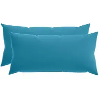 vidaXL - Kussen - met - kussen - HEERLEN - 2 - st - Lichtblauw - Polyester