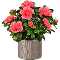 Mica Decorations Kunstplant - Azalea roze - H27 cm - in beige bloempot - keramiek - complete set van pot en plant - decoratie stuk