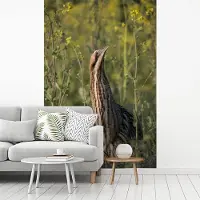 MuchoWow Behang - Fotobehang Een roerdomp zit in de graslanden - Breedte 175 cm x hoogte 260 cm