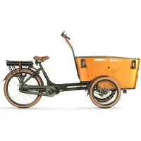 Vogue Carry 3 Bafang Max - Elektrische Bakfiets - 20 inch - 250W motor - Actieradius tot 80 km - 8 versnellingen - Hydraulische schijfremmen - Bruin