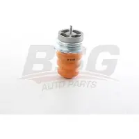 BSG 25-700-135 Veerpootlager
