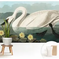 Wallfluent Fotobehang - Wit Vliesbehang - 208x146 cm - Zwaan En Waterlelies Fotobehang Vlies - Woonkamer behang Dieren - Muurschildering - Woonkamer behang