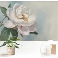 Wallfluent Fotobehang - Wit Vliesbehang - 152x104 cm - Prachtige Pioenroos Fotobehang Vlies - Woonkamer behang Bloemen En Planten - Muurschildering - Woonkamer behang