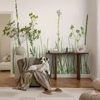 Coloray Vliesbehang - Groente Snellijm Behang - 312x219 cm - Subtiele Flora Fotobehang Vlies - Hal behang Bloemen En Planten - Muurschildering - Woonkamer behang